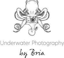 Underwater Photography by Bria Home