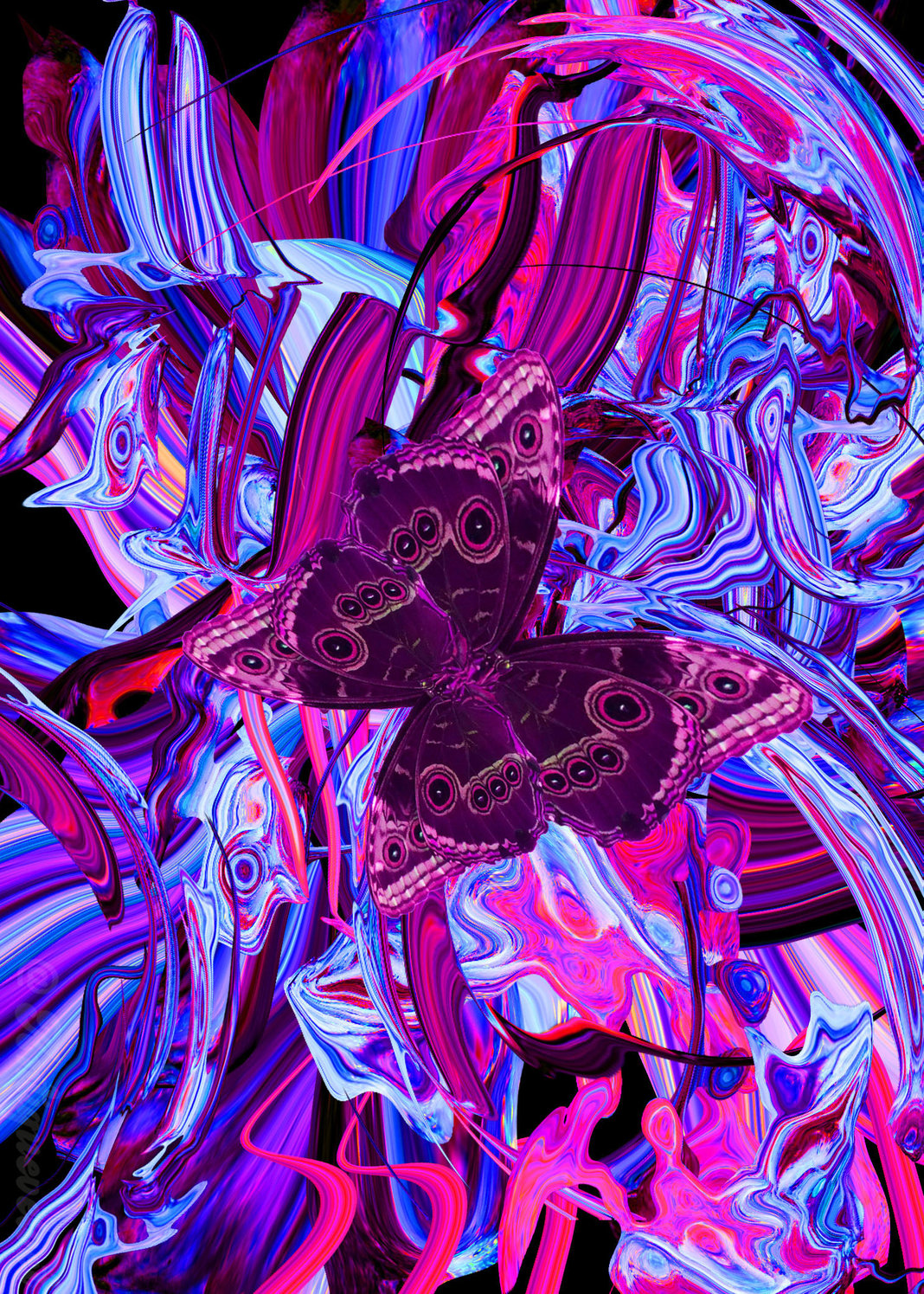 Slideshow image 3