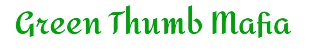 Green Thumb Mafia Inc. Home