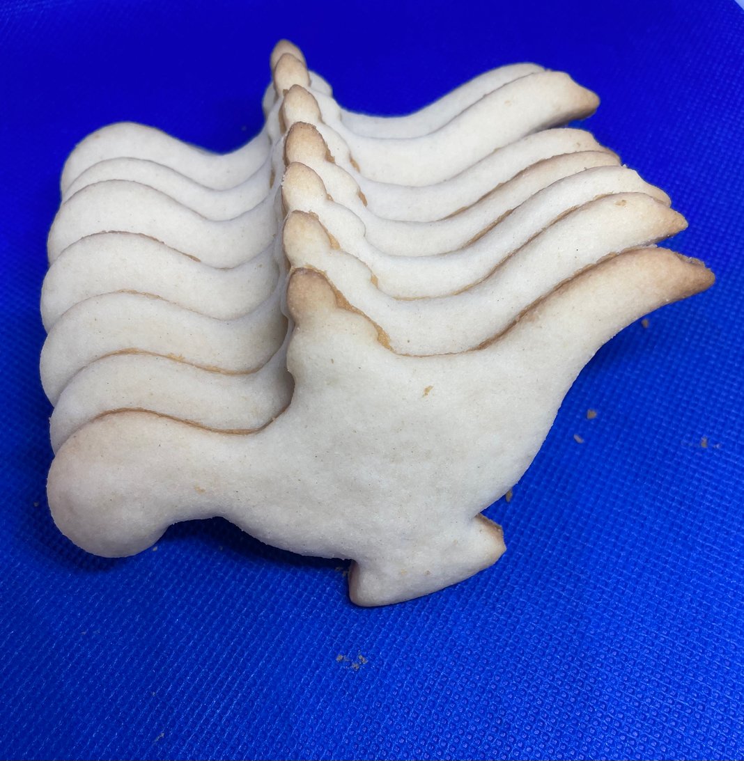 Slideshow image 5