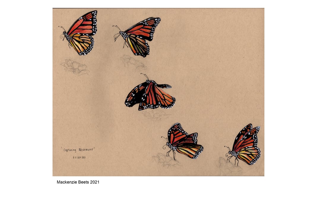 Slideshow image 5