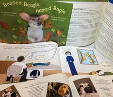 Basset-Beagle named Bagle Home