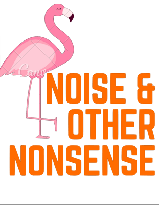 Noise & Other Nonesense Entertainment