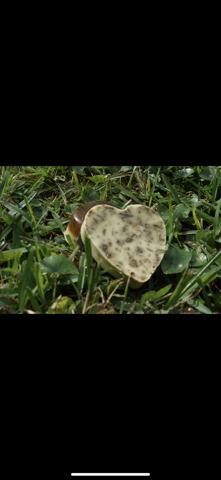 Slideshow image 7
