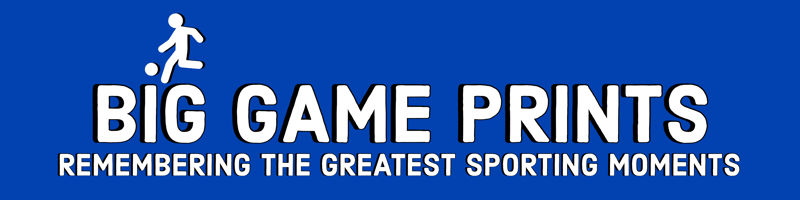 Big Game Prints Home