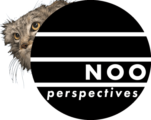 Noo Perspectives Home
