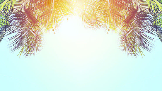 Welcome image
