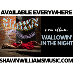 Shawn Williams Music