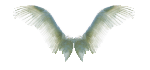 Seven Angels