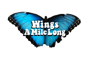 Wings A Mile Long Home