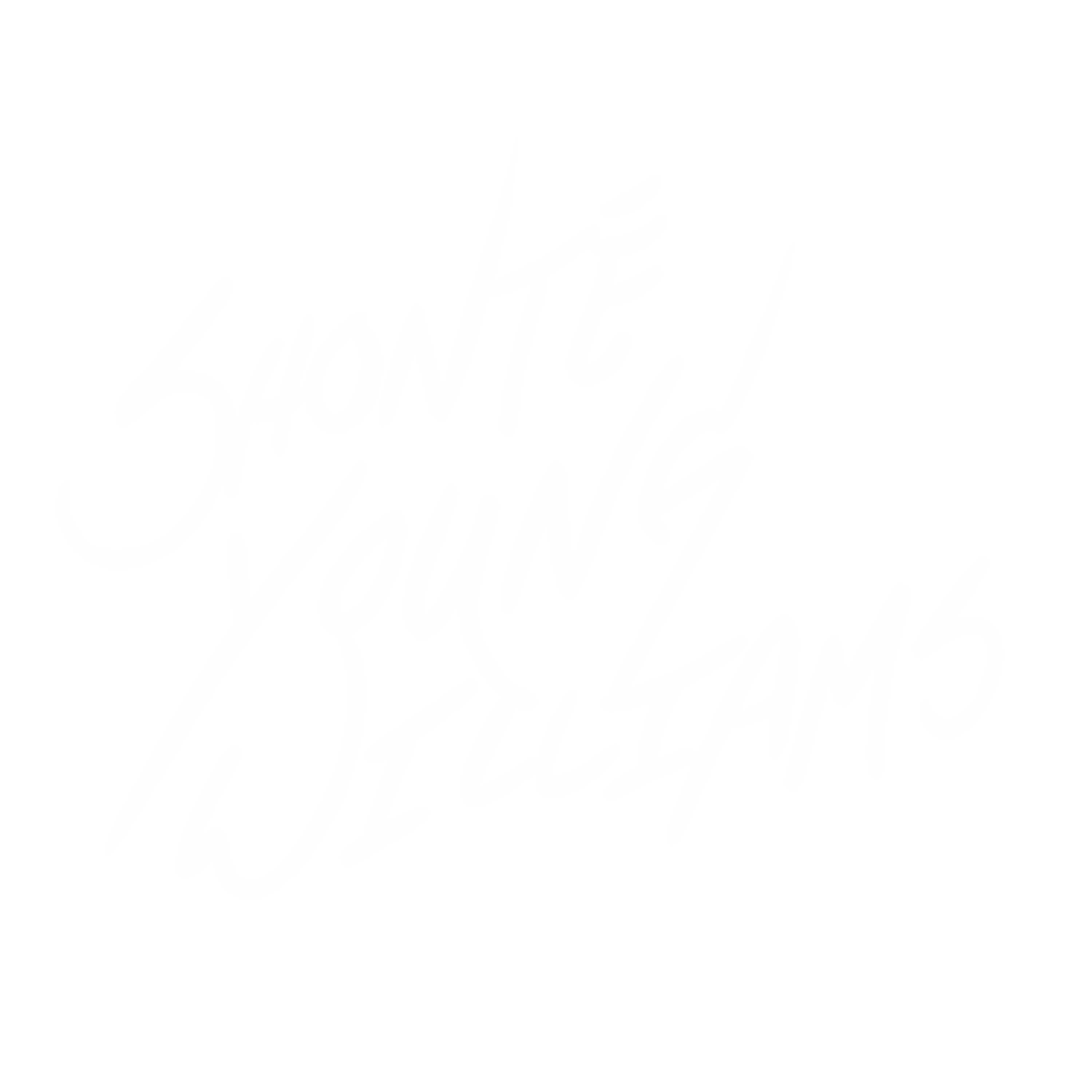 Shonte Young Williams  Home