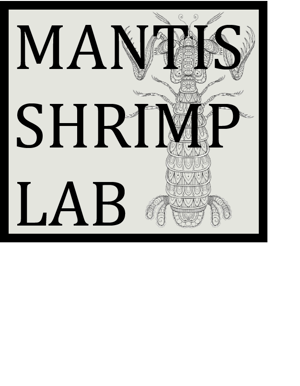 Mantis Shrimp Lab Home