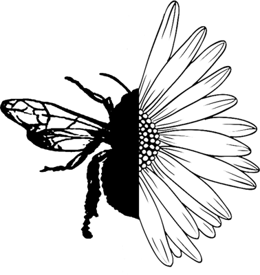 Foreign Bodies Merch Home