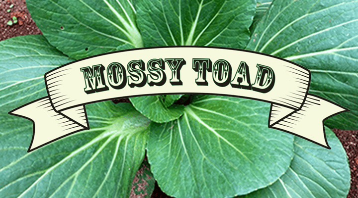 Mossy Toad Farm Home