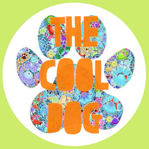 The Cool Dog Home