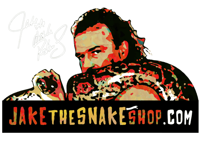 SIGNED Jake 'The Snake' Micro Brawler