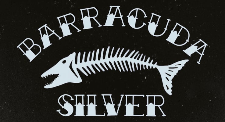 Barracuda Silver Home