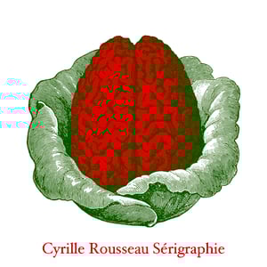 French Sérigraphie Home