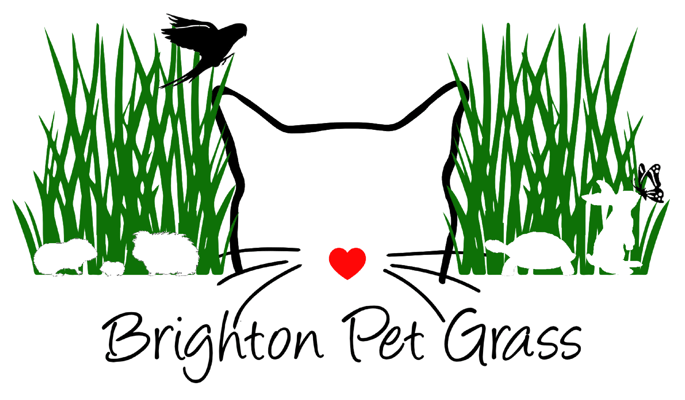 Brighton Cat Grass Home