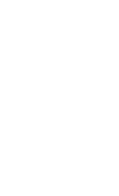 Blue Fern Ink