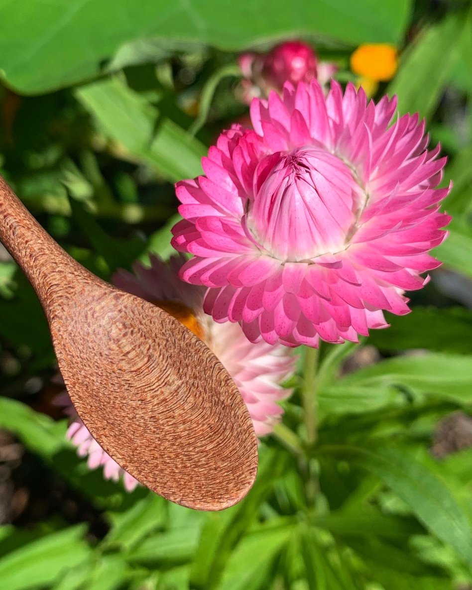 Slideshow image 2