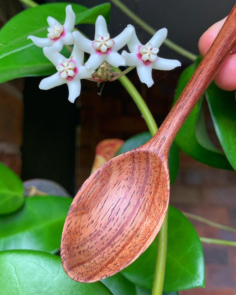 Slideshow image 3
