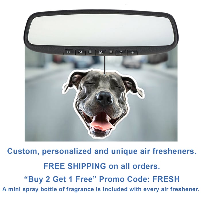 Welcome to Swelly Smellies