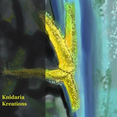 Knidaria Kreations