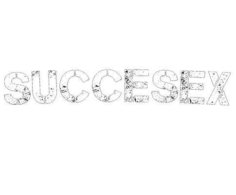 Succesex Home