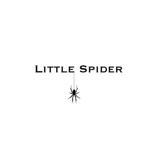 Little Spider