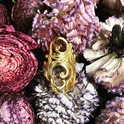 Slideshow image 6