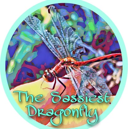 The Sassiest Dragonfly