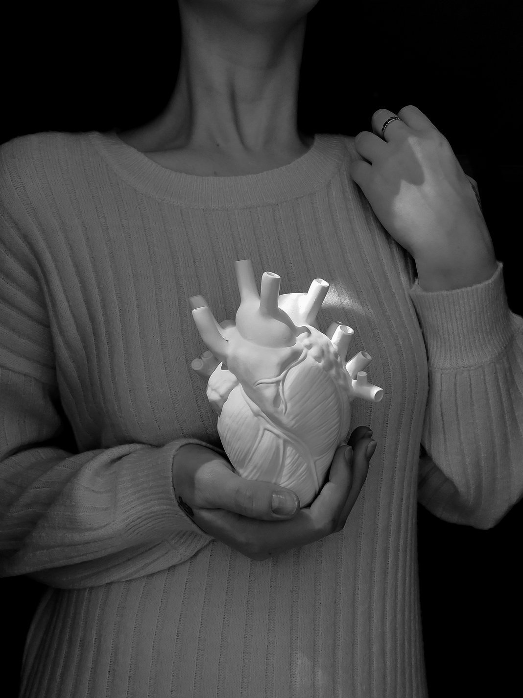 Slideshow image 5