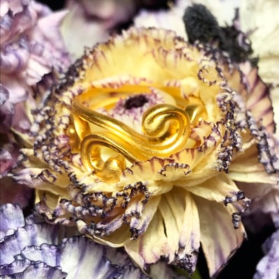 Slideshow image 9