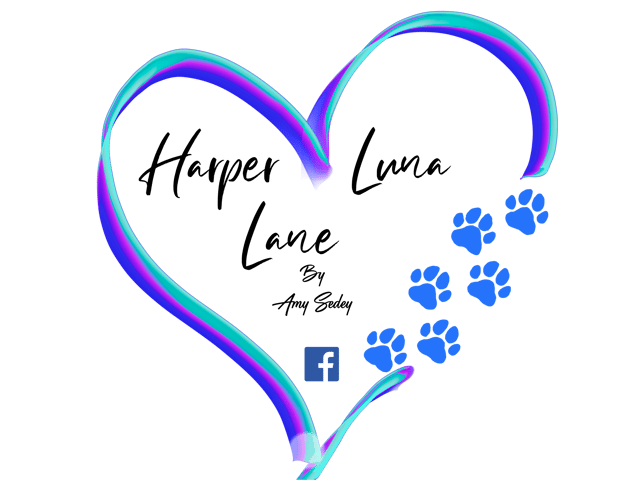 15oz LV Tumbler  Harper Luna Lane