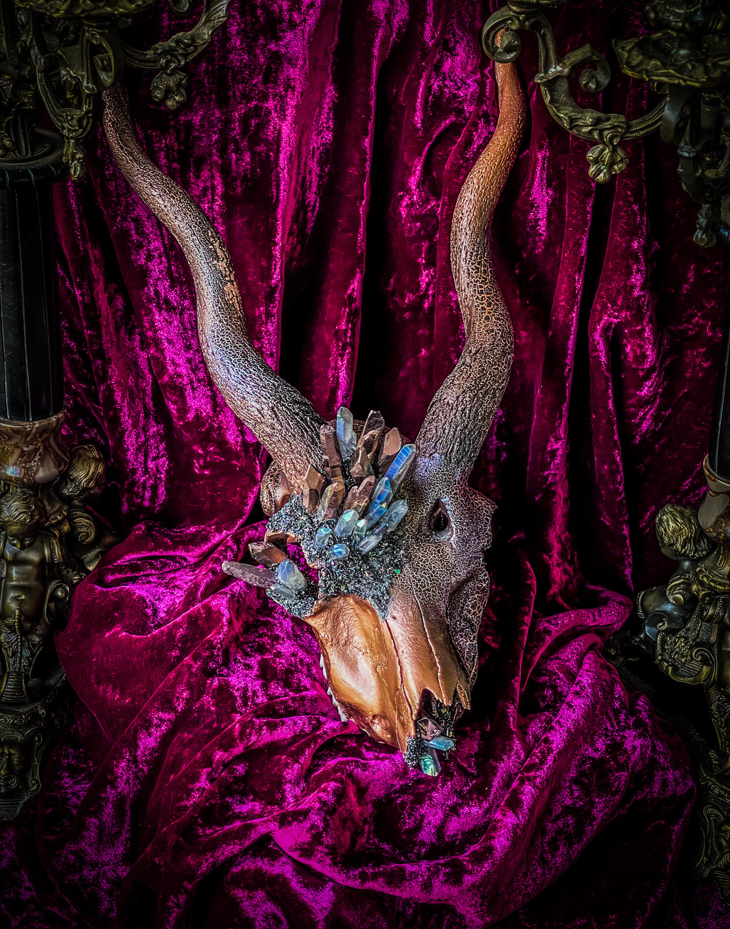 Home Madame Macabre’s House Of Curiosities