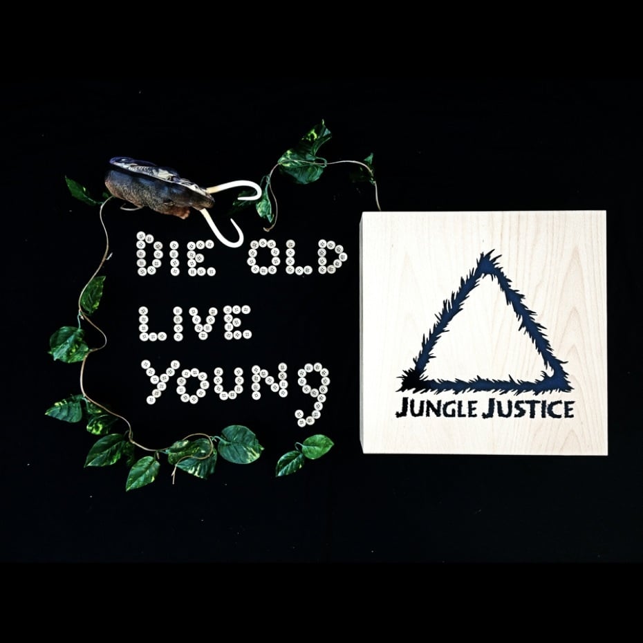 junglejustice