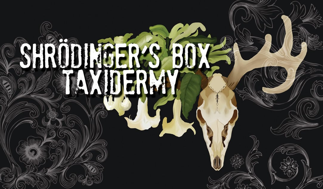 Shrödinger's Box Taxidermy Home