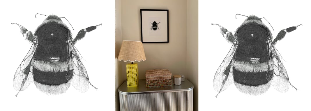 Slideshow image 6