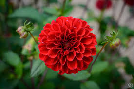 Slideshow image 4