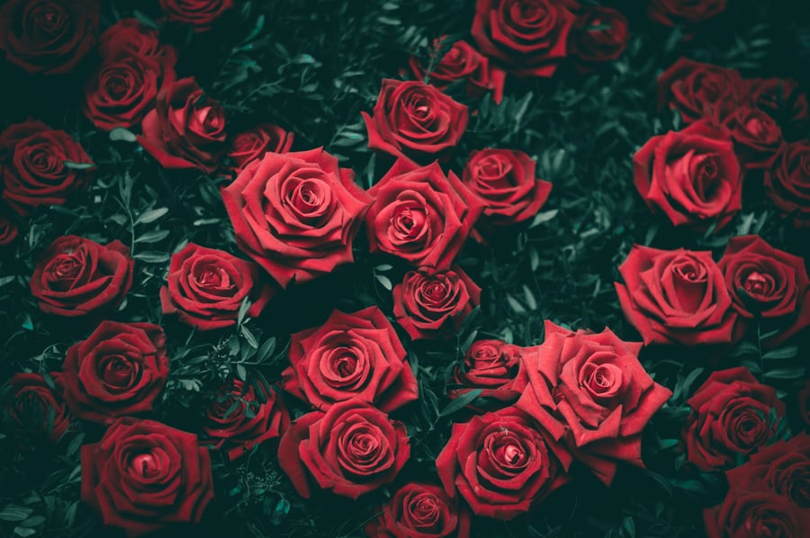 Welcome image