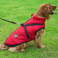 SmokiDogi