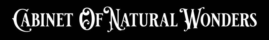 CabinetOfNaturalWonders Home