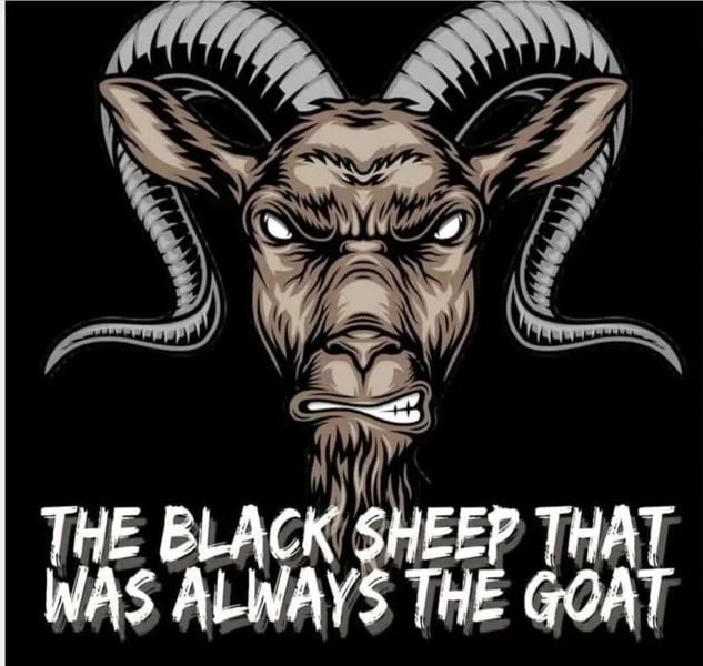 The Black Sheep That Was Always The Goat Home