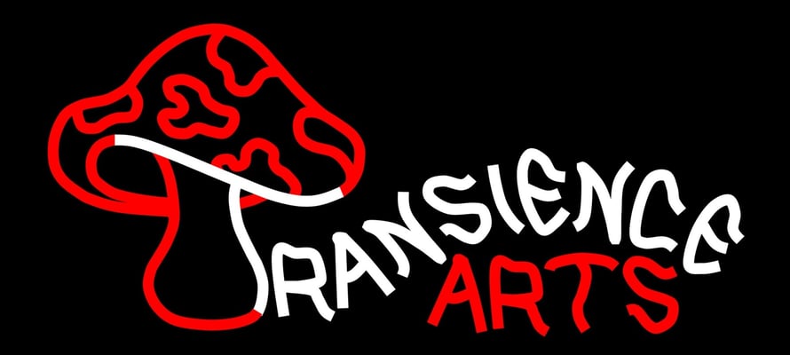 Transience Arts Home