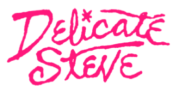 Delicate Steve Web Store Home