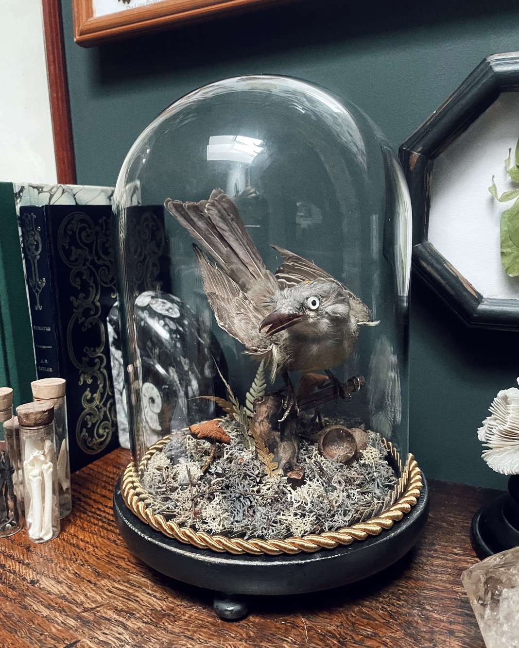 Slideshow image 4