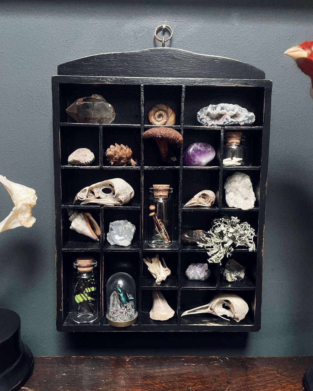 Slideshow image 7