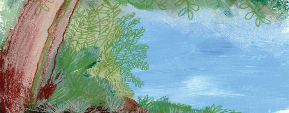 Welcome to Rosanne Hustinx