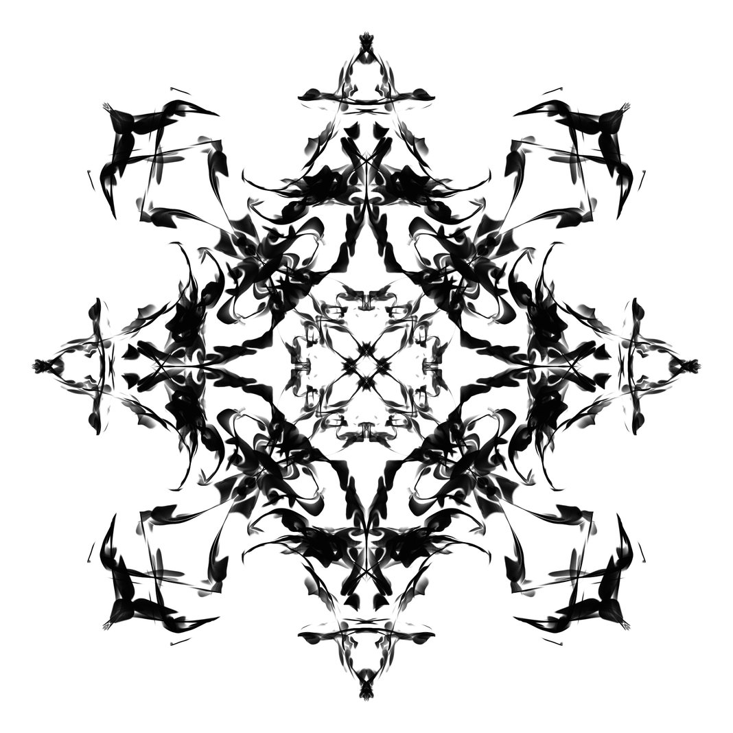 Slideshow image 5
